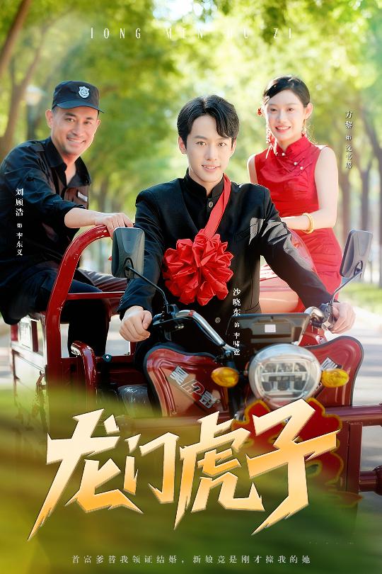 龙门虎子封面图