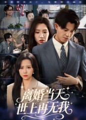 离婚当天世上再无我封面图