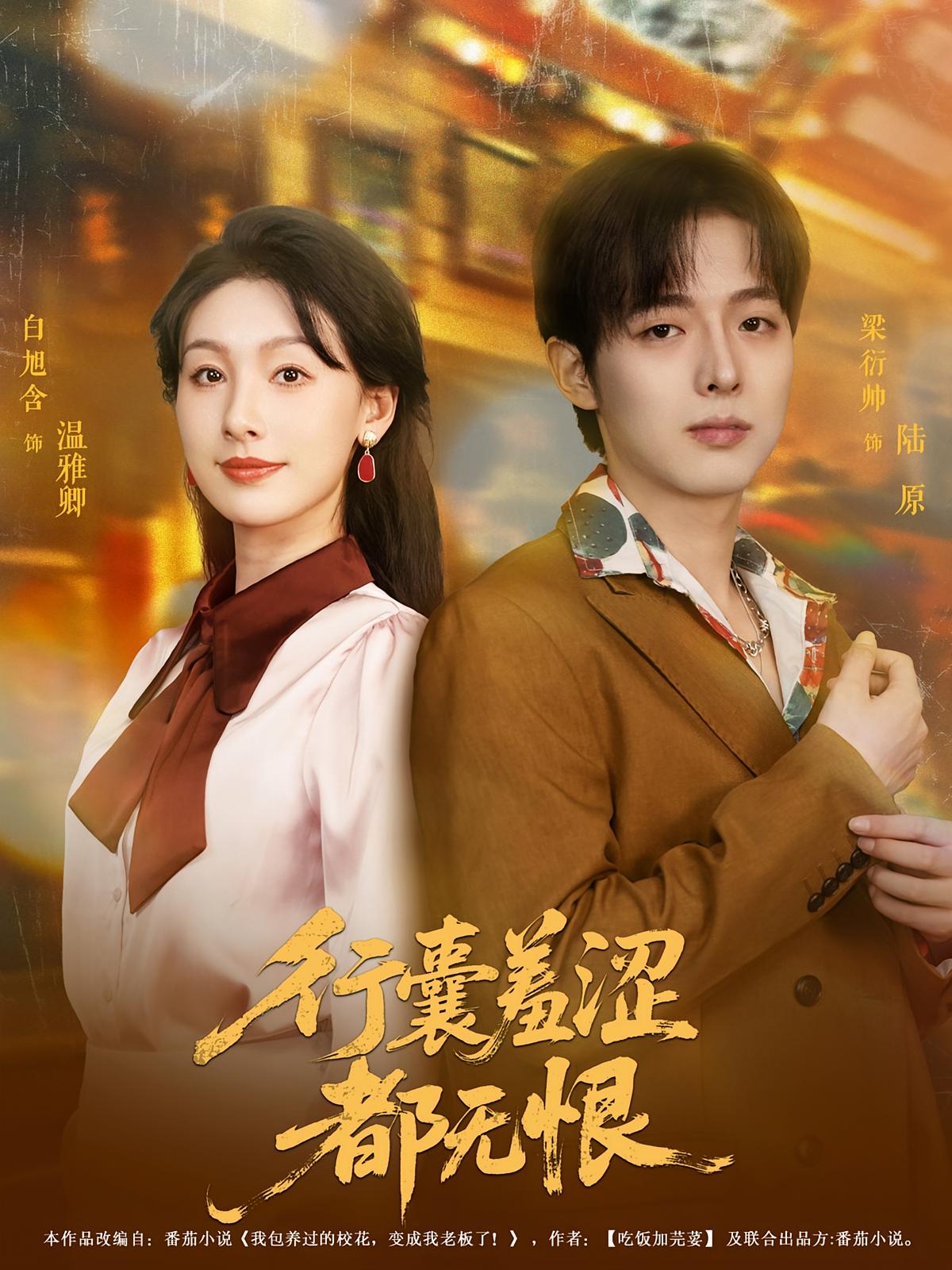 行囊羞涩都无恨封面图