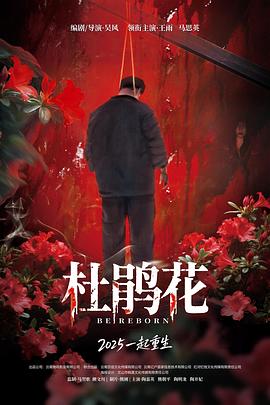杜鹃花封面图
