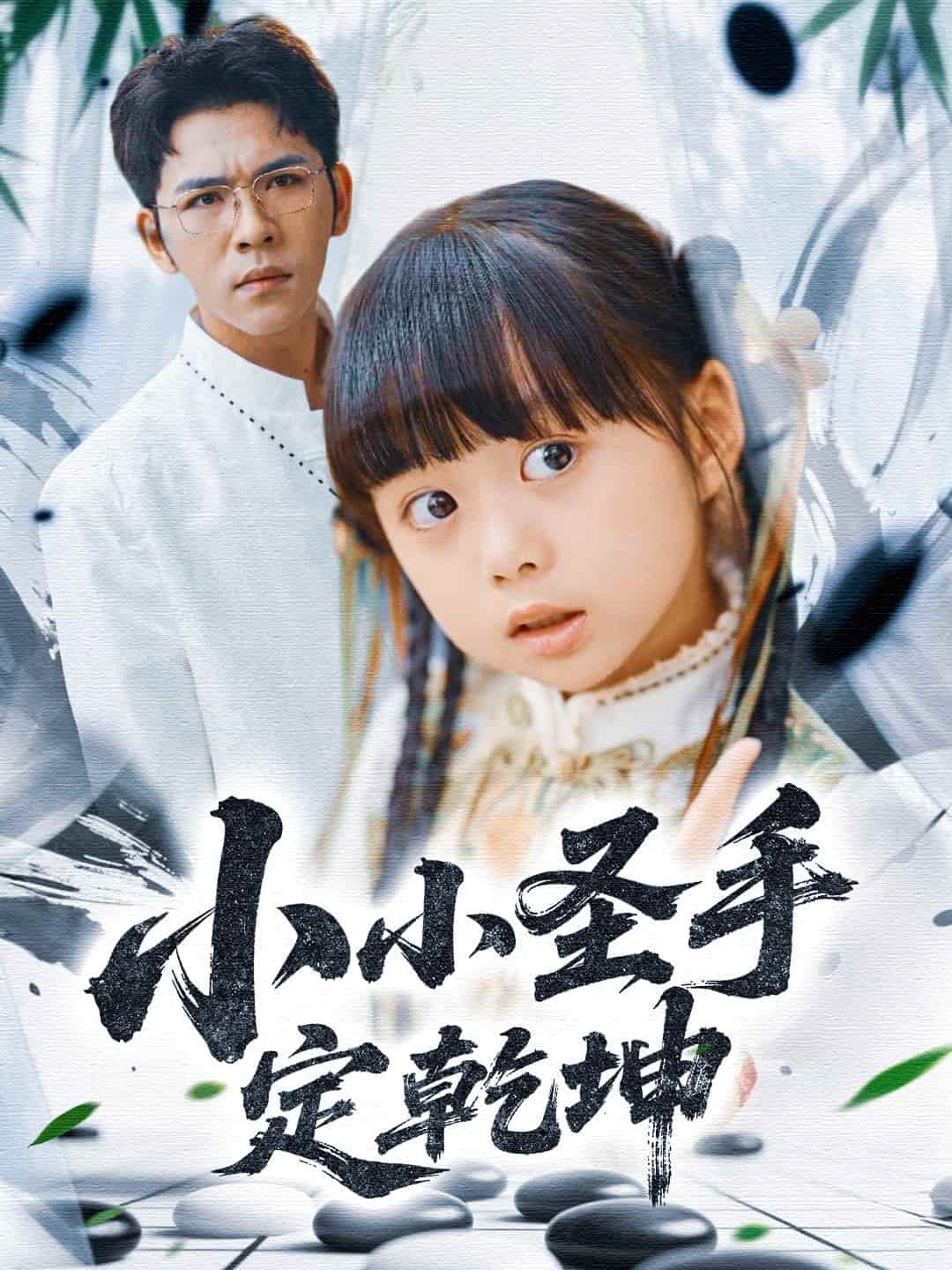 小小圣手定乾坤封面图