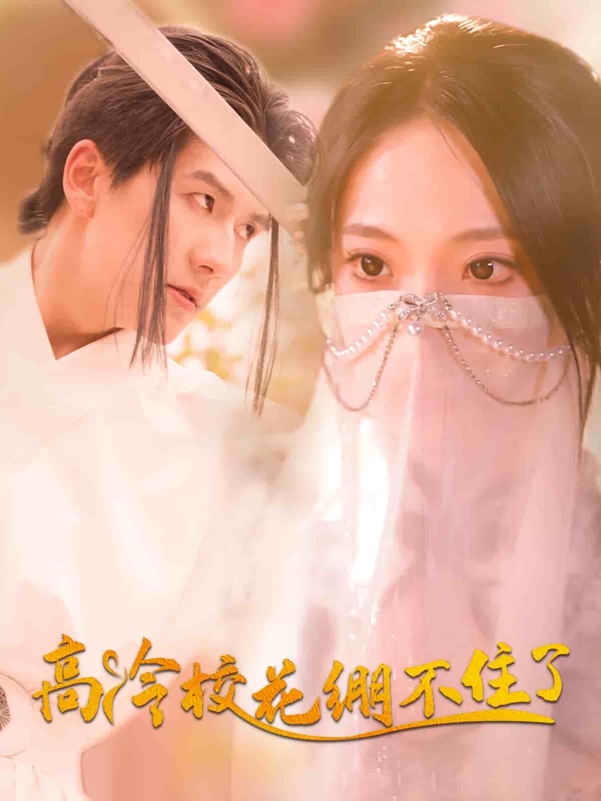 高冷校花绷不住了封面图