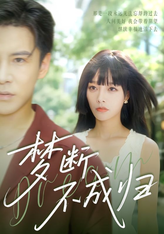梦断不成归封面图