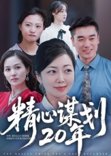 精心谋划20年封面图