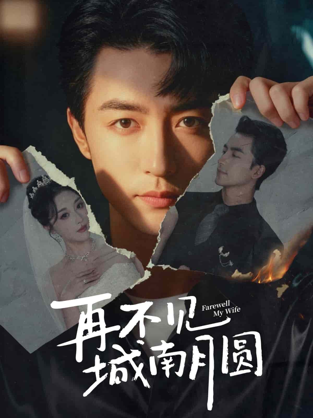 再不见城南月圆封面图