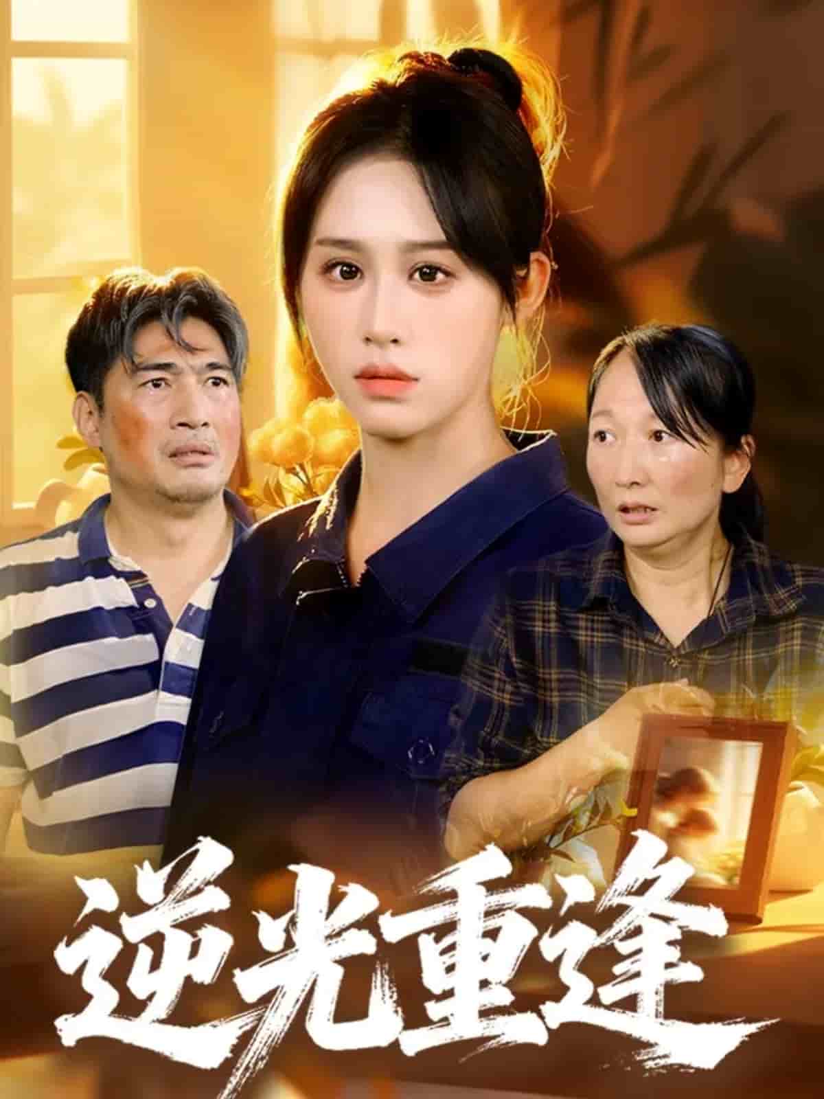 逆光重逢封面图