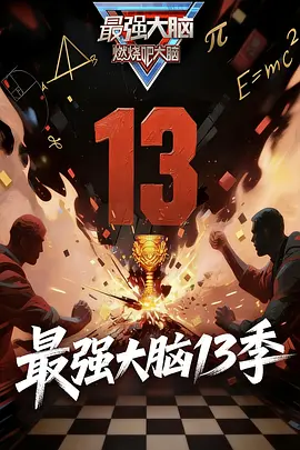 最强大脑第13季封面图
