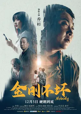 金刚不坏2024封面图