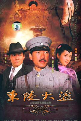 东陵大盗2008封面图